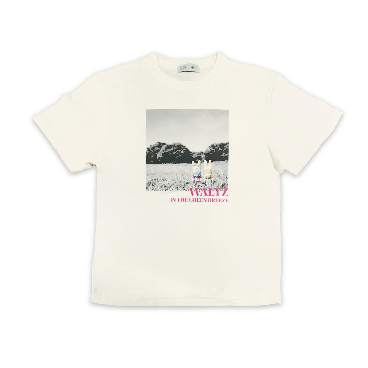 BEAMS みどりの風のワルツ Tシャツ (バニラホワイト) – CHISAKO