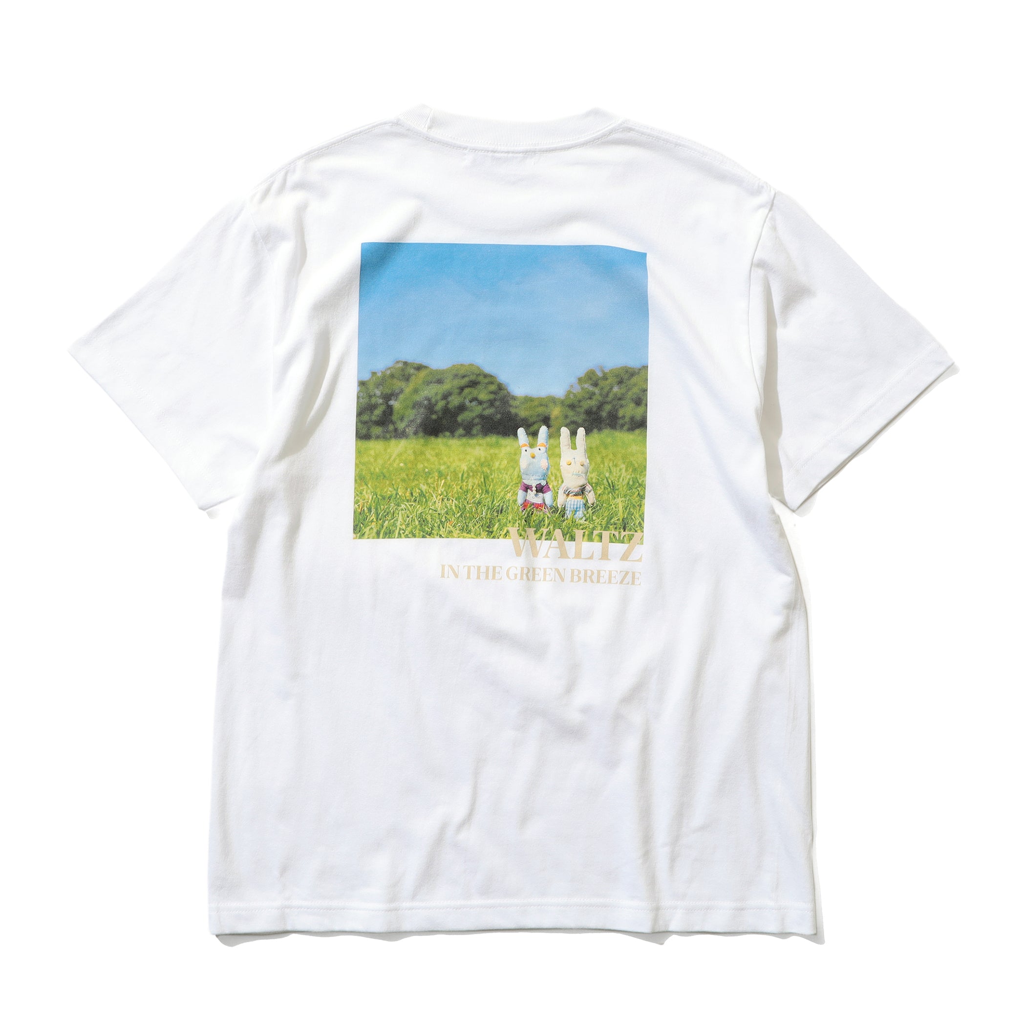 BEAMS みどりの風のワルツ Tシャツ